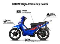 Moto électrique de tourisme haute performance 72V 3000W avec une autonomie de 100 km et une capacité de charge de 250 kg