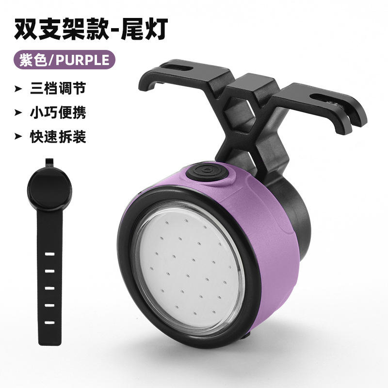 CB-18166 Dual-bracket model with purple taillights