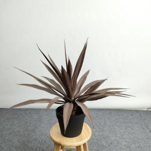 Pianta Artificiale di Agave in Vaso Personalizzabile per Decorazioni da Tavolo per Matrimoni - Product Image 1