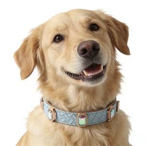 Collar Ajustable <span class=keywords><strong>de</strong></span> Cuero PU para Perro con Hebilla Metálica <span class=keywords><strong>de</strong></span> Liberación Rápida para Paseos Diarios y Salidas al Parque - Product Image 2