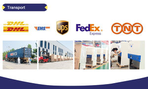 Medidor de ATP de Bolsillo BIObase, Medición de Bioluminiscencia, Luminómetro de ATP, Medidor de Fluorescencia de ATP, ATP420 en Existencia - Product Image 5