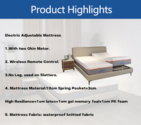 Lit électrique moderne simple ou double réglable en métal avec matelas pour usage domestique, hospitalier et en appartement – Tailles personnalisables
