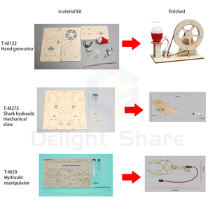 Tự Làm Gốc Trẻ Em Quà Tặng Trường Giáo Dục Đồ Chơi Khoa Học Lắp Ráp Bằng Gỗ Bộ Dụng Cụ Câu Đố Vật Lý Đồ Chơi Cho Trẻ Em - Product Image 3
