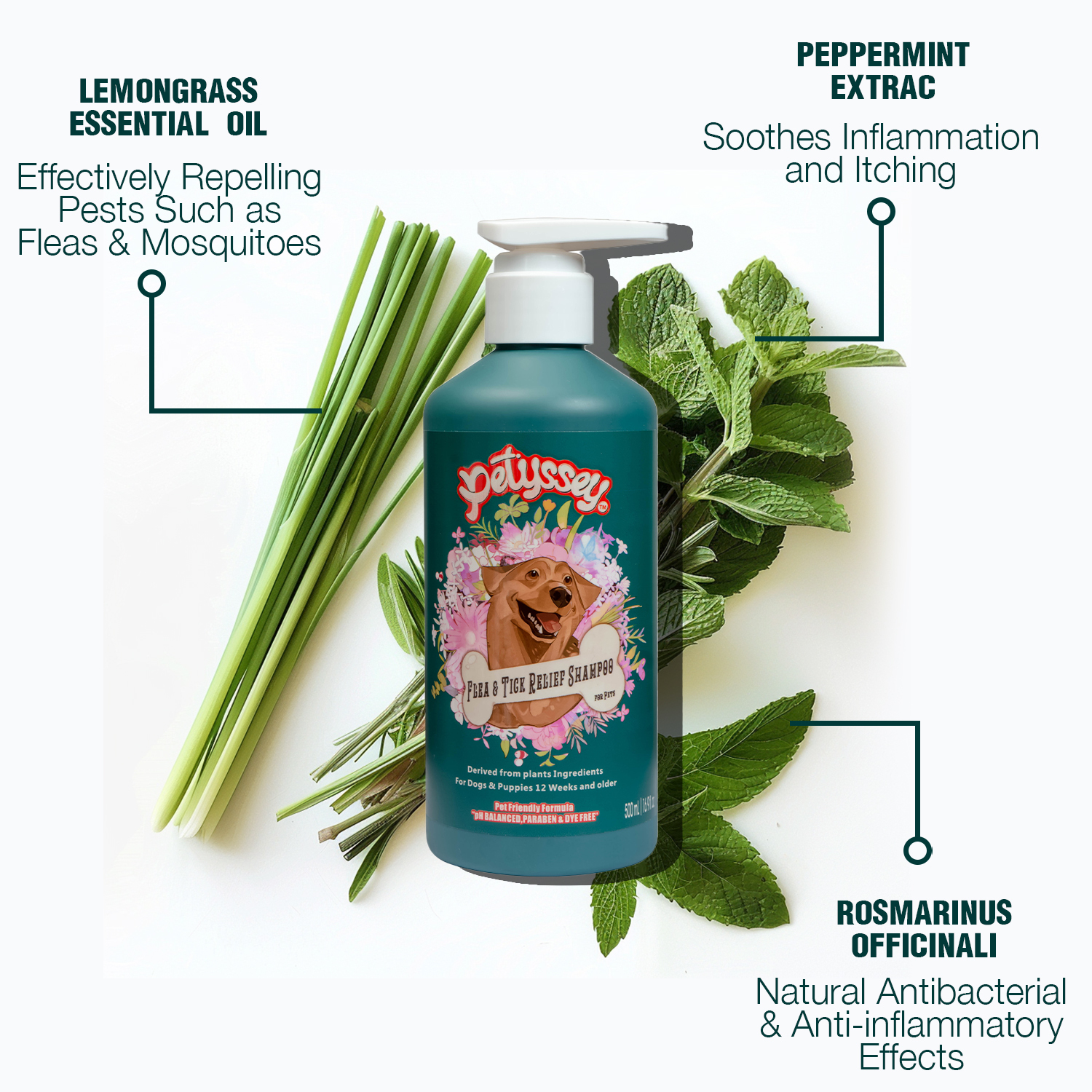 Private Label Organic Dog & Cat Shampoo – Paraben-Free Eco-Friendly Pet Shampoo for Gentle Coat Care - View 2