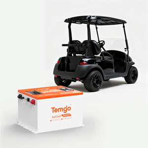 51.2V 100Ah 高尔夫球车锂电池 SPCC 外壳 48V 100Ah LiFePO4 5 年保修 高尔夫球车电池 ATV 电池 UTV 电池 - Product Image 1