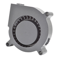 Ventilador DC 6015 60x60x15 mm 5V con Doble Rodamiento de Bolas, 70000 Horas de Vida Útil, Ventilador de Refrigeración por Aire con Aspas de Plástico, OEM ODM CE ROHS