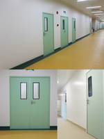 Porte coulissante automatique non hermétique pour salle blanche, à montage externe, en acier galvanisé, design industriel