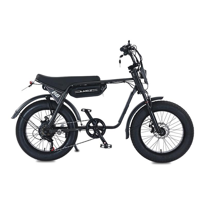 fast adult electric bicycle Lectric XP4 750 Step-Thru Bike in Tempest Grey | Folding Electric Bike | Class 3 eBike contributing to a low 1000W Electric Bicycle for Adult