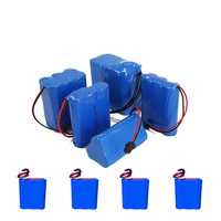 Custom 900mAh 3.7V Rechargeable Li-ion 18650 Battery Pack with LiFePO4 Cathode 1000 Cycles CE CB PSE Certified 1 Year Warranty