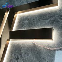Enseigne LED 3D rétroéclairée en acier inoxydable personnalisée de qualité supérieure, compatible HomeKit, transformateur CA, télécommande, pour bureau et mariage, IP65