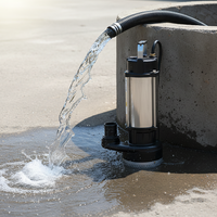 Pompe à eau submersible multi-étages à haut débit et haute pression avec interrupteur à flotteur en acier inoxydable et fil 100% cuivre OEM pour applications potables