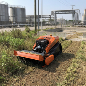 Tondeuse à fléaux chenillée pour zones à obstacles, coupe précise de l'herbe, commande à distance, achat <span class=keywords><strong>en</strong></span> ligne direct usine - Product Image 1