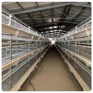 Tipo H azienda agricola fornito completamente automatico gabbie per polli alimentatori animali allevamento gabbie a strati di pollame per galli - Product Image 6