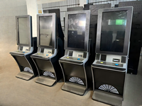 Armoire en métal de prix usine moniteur vertical de 32 pouces avec la machine de jeu de compétence à jetons de foudre