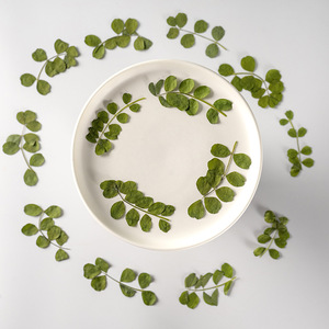 Carta di foglie di astragalo di latte cinese che fa forniture gioielli in resina fiore secco pressato reale ecologico - Product Image 5