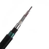 Kabel Serat Optik Berlapis Baja GYXTY Outdoor Central Tube untuk Komunikasi, 4 6 8 12 Core, Promo Hot Sale