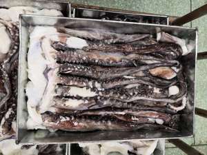 Mariscos <span class=keywords><strong>Calamar</strong></span> Congelado Gigante <span class=keywords><strong>Calamar</strong></span> Tentáculo - Product Image 4