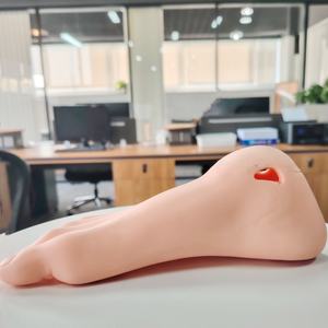 Modelo de cuidado de pie diabético De ciencia médica avanzada DARHMMY - Product Image 6