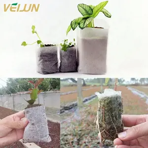 Non Woven Biodegradable Plant Seedling Bags/planting Pots/plastic Nursery Containers