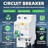 Disjoncteur différentiel (RCBO) DZ47LE-63 1P+N 2P 3P+N 4P 6A 10A 16A 20A 25A 32A 40A 50A 63A 30mA 100mA 300mA 6KA Courbe C