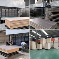 Panneaux perforés professionnels avancés en placage de bois ignifuge avec âme en aluminium pour salles de conférence d'entreprise