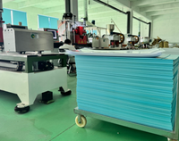 Plaques thermoplastiques réutilisables Direct Source, attelle thermoplastique pour la physiothérapie