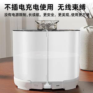 Fontaine à eau neutre pour chats FT888, rechargeable par type C, avec capteur intelligent et circulation automatique pour chats et chiens - Product Image 2