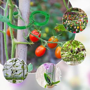 Clips en plastique réutilisables de haute qualité pour plantes vertes, pour le jardinage, le soutien des plantes grimpantes, résistants aux intempéries, aident à sécuriser les semis de plantes - Product Image 1