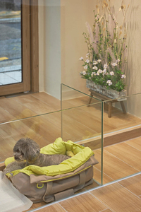 Mobiliario de Lujo para Tiendas de Peluquería Canina con Servicio de Diseño de Interiores, Diseño de Muebles de Salón Personalizados desde la Producción Hasta la Instalación - Product Image 3