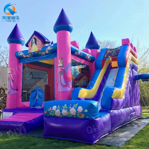 Castillo Inflable Comercial para Niños 2026, Bluey, Ecológico, de PVC, con Tobogán, Combinado, con Diseño de Dibujos Animados, para Fiestas - Product Image 6