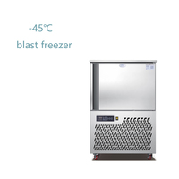 Mini 5-bakjes blastchiller en vriezer, compacte shockvriezer voor gelato, ijs, bakkerijproducten en gebak