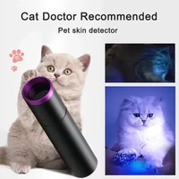 Lampe torche UV avec filtre noir et faisceau UV pur pour la détection des taches, l'inspection de la propreté et l'exploration en extérieur