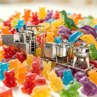 Mesin Pembuat Permen Gummy Otomatis Penuh Harga Terjangkau Mesin Pembuat Gummy Bear