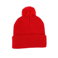 Bonnet tricoté uni avec revers, pompon et broderie personnalisée pour le ski, les activités de plein air et les voyages