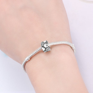 Hebilla de posicionamiento en forma de corazón de doble fila de latón blanco, estilo exclusivo y de alta gama, accesorio colgante DIY para pulsera de mujer - Product Image 6