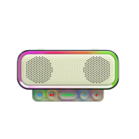 Carte son SY1, haut-parleur karaoké intégré, double microphone sans fil, éclairage RGB, sortie casque 3,5 mm pour le direct