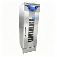 Armoire de Fermentation Professionnelle en Acier Inoxydable pour Pâte à Pain, 13 Plateaux, pour Boulangerie