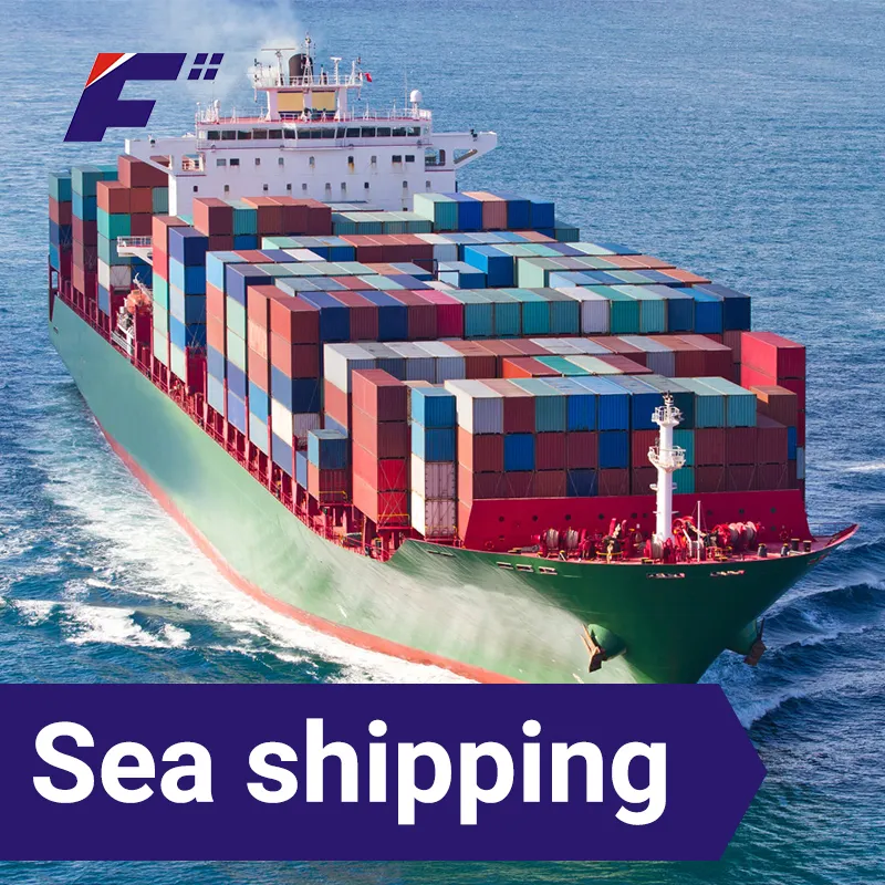 Servicio de entrega puerta a puerta más barato, transporte marítimo de china a la india, ddp, servicio de ddp a la india