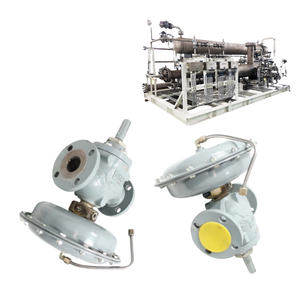 Patín de <span class=keywords><strong>gas</strong></span> natural de China, regulador de <span class=keywords><strong>gas</strong></span> de alto caudal Emerson Fisher personalizado 1098-EGR para entornos corrosivos, servicio de oxígeno - Product Image 6