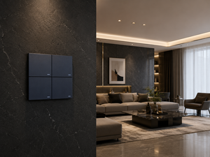 Interruptor de Pared Inteligente Matter Homekit APP US AU 10A 2200W para Dormitorio/Villa, 110V 240V, Compatible con Alexa y Google Home, Control por Voz, Inalámbrico - Product Image 4