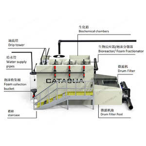 Maquinaria para Tratamiento de Agua, Sistema de Acuicultura de Recirculación (RAS), Sistemas de Acuicultura para Tortugas y Cangrejos - Product Image 4