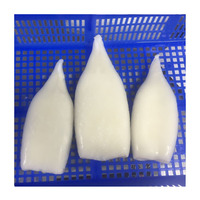 Tube de calmar frais congelé du Pérou / Tube de calmar Illex U3 U5 U7 U8 Vente en gros Exportation de Chine