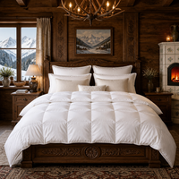 Couette d'hiver chaude en duvet de canard blanc 90% format Queen, matelassée en boîte, en coton anti-duvet, extra chaude, vente en gros