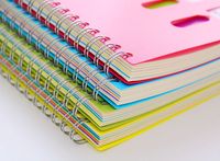 Agenda A4 personnalisé journal en PP journal ligné carnet à spirales avec couverture en PVC personnalisé vente en gros