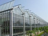 One one Serre commerciale en verre pour l'horticulture serre venlo isolée en métal aluminium serre agricole en verre
