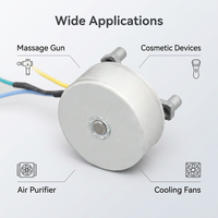 Moteur BLDC à rotor externe BL3825-W, contrôle de vitesse PWM, moteur CC sans balais pour pistolet de massage, appareils cosmétiques, purificateur d'air, ventilateur