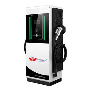 120kw ticari dc ev hızlı şarj istasyonu CCS1 chademo dc hızlı şarj yüksek kalite uygun fiyat elektrikli araç şarjı tedarikçisi