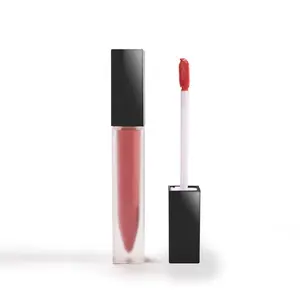 Lipstik warna warni, Set Logo kosong bentuk Mewah Unik Oem Lip Gloss tabung Label pribadi