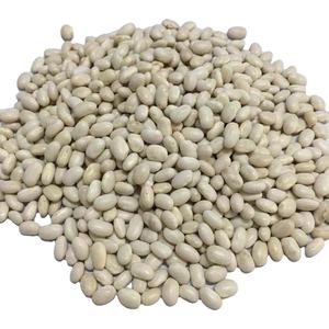 chinese new crop factory price of white kidney beans long shape