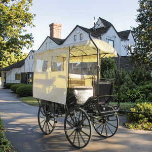 Maratón turístico, carruaje tirado por caballos - Product Image 3